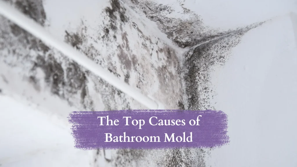What Causes Bathroom Mold & How to Avoid It